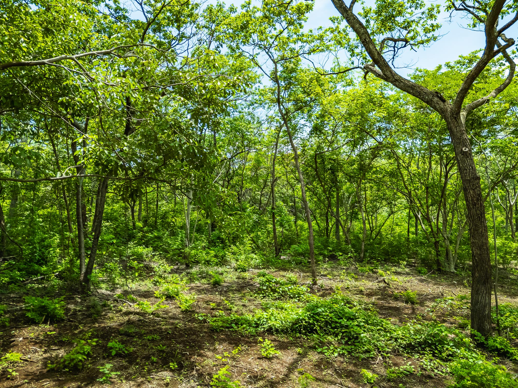 0 bed Land For Sale in Playa Negra, Guanacaste - thumb 13