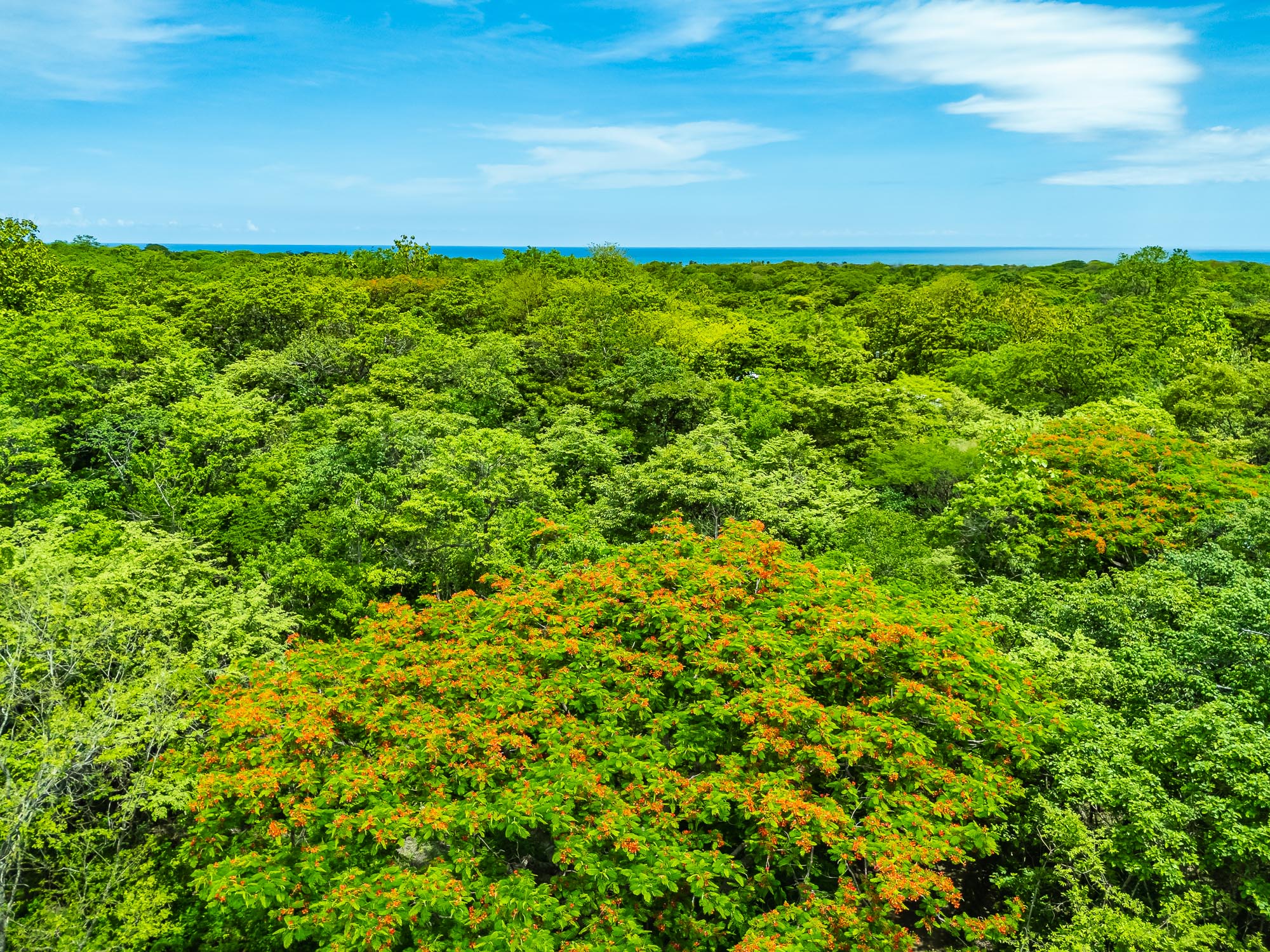 0 bed Land For Sale in Playa Negra, Guanacaste - thumb 5