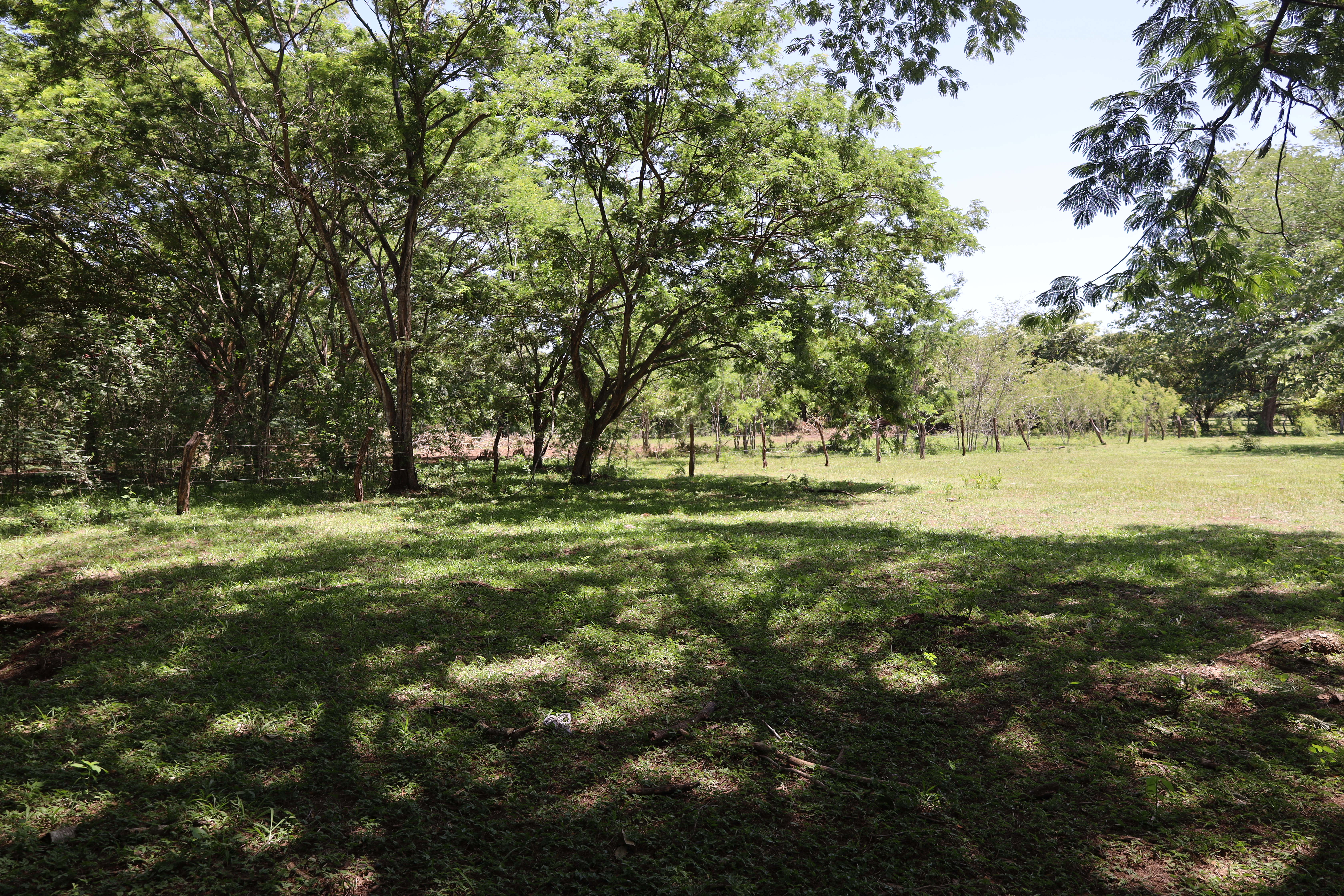 LOT 38 - 9.JPG