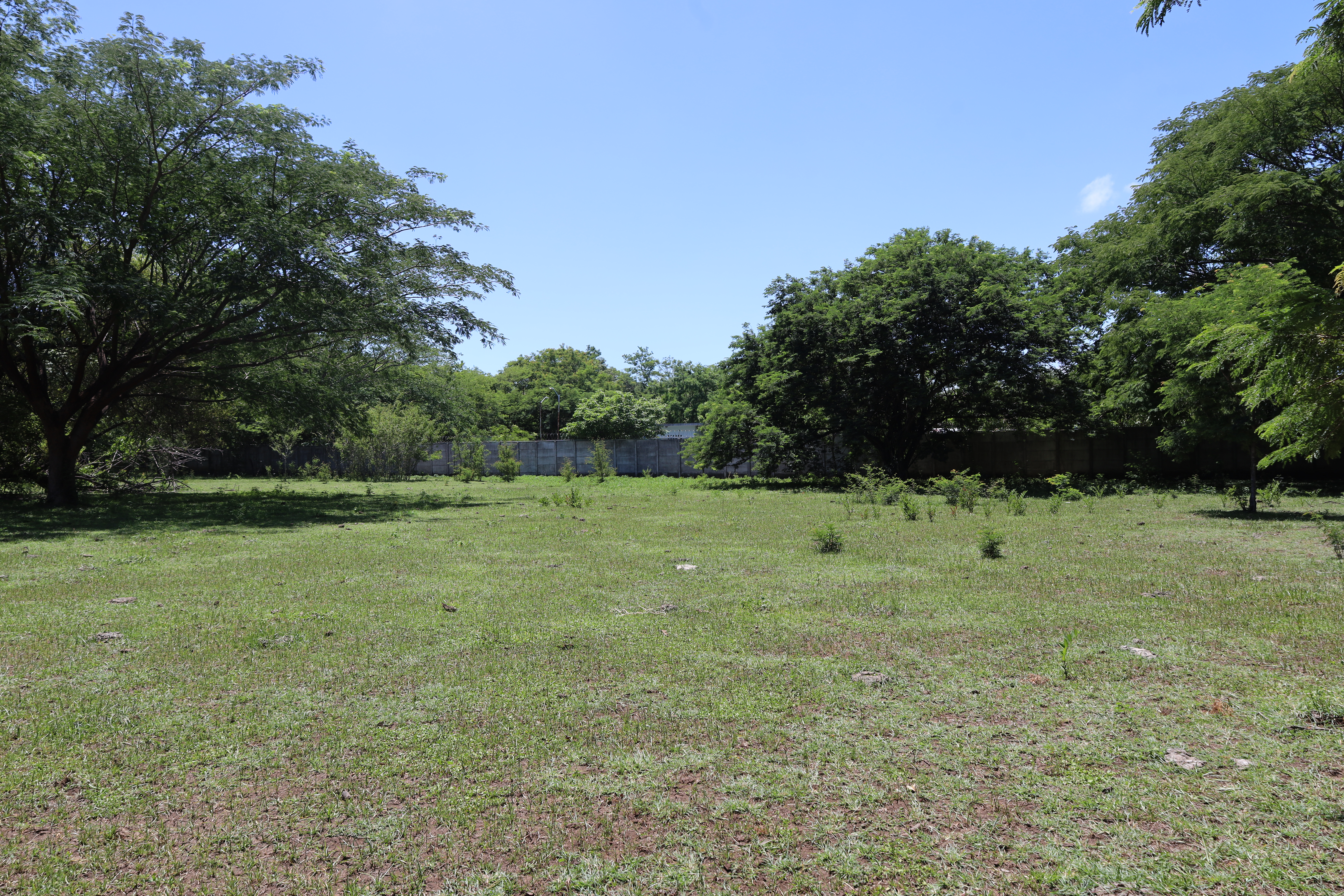 LOT 39 3.JPG