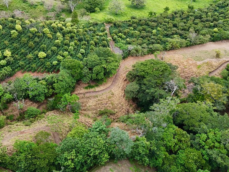 0 bed Land For Sale in Atenas, Alajuela - 1