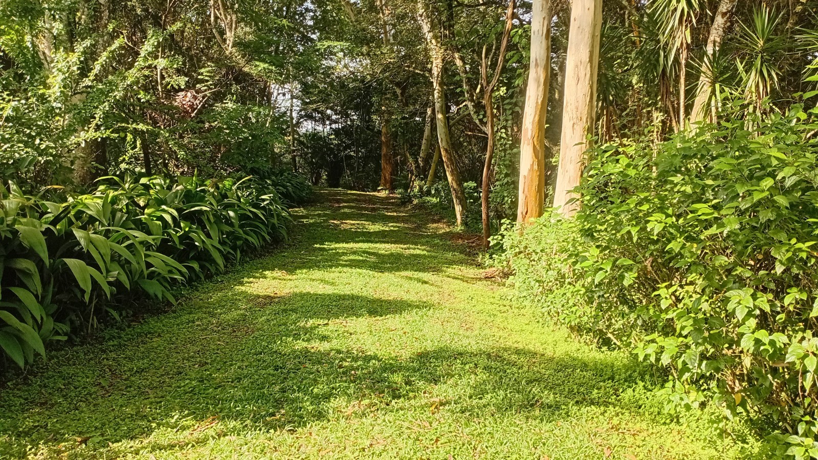 2 bed Single Family Homes For Sale in Puriscal, San Jose - thumb 10