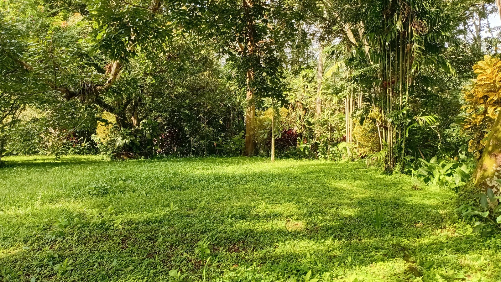 2 bed Single Family Homes For Sale in Puriscal, San Jose - thumb 15