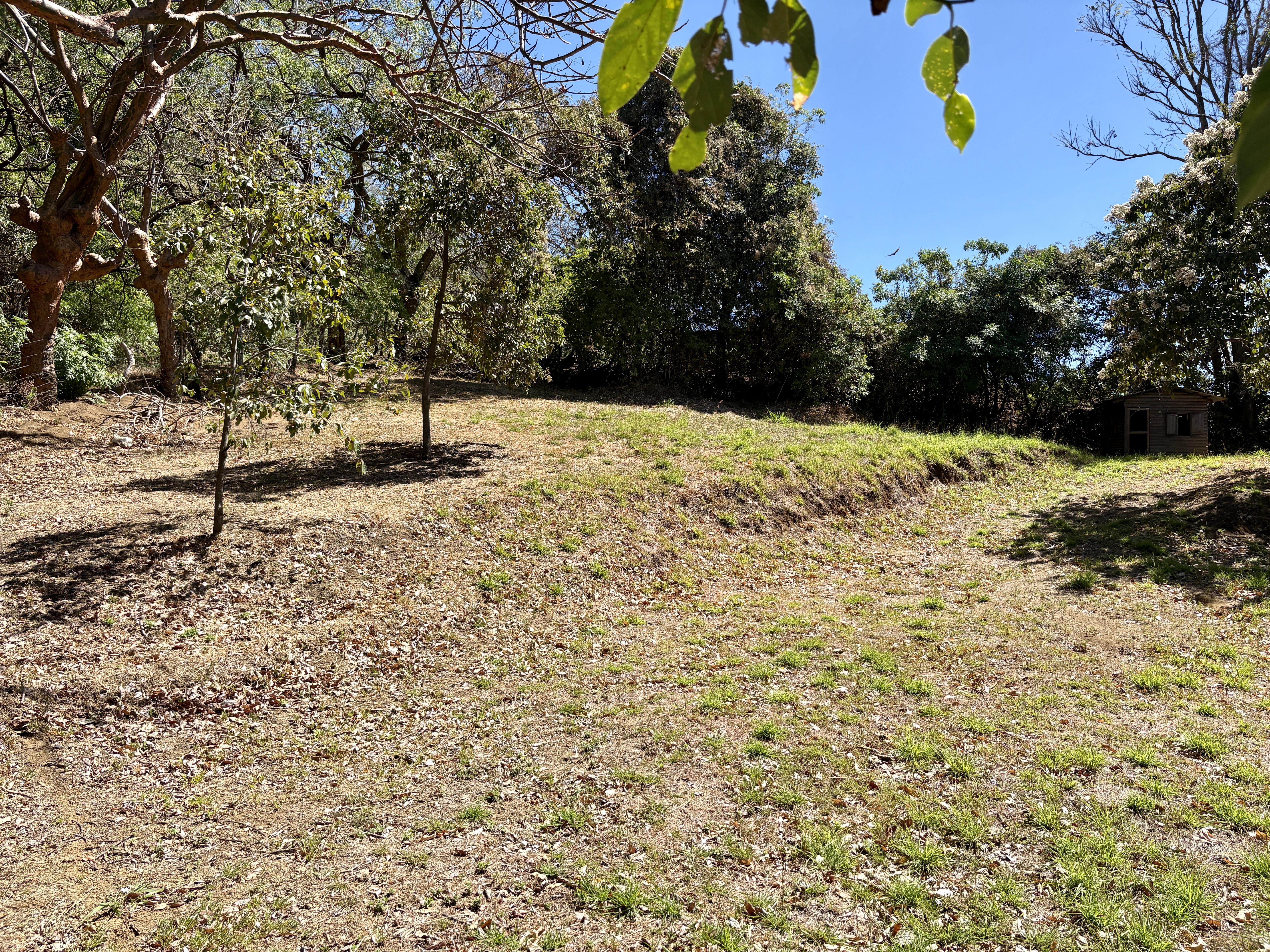 0 bed Land For Sale in Santa Ana, San Jose - thumb 4