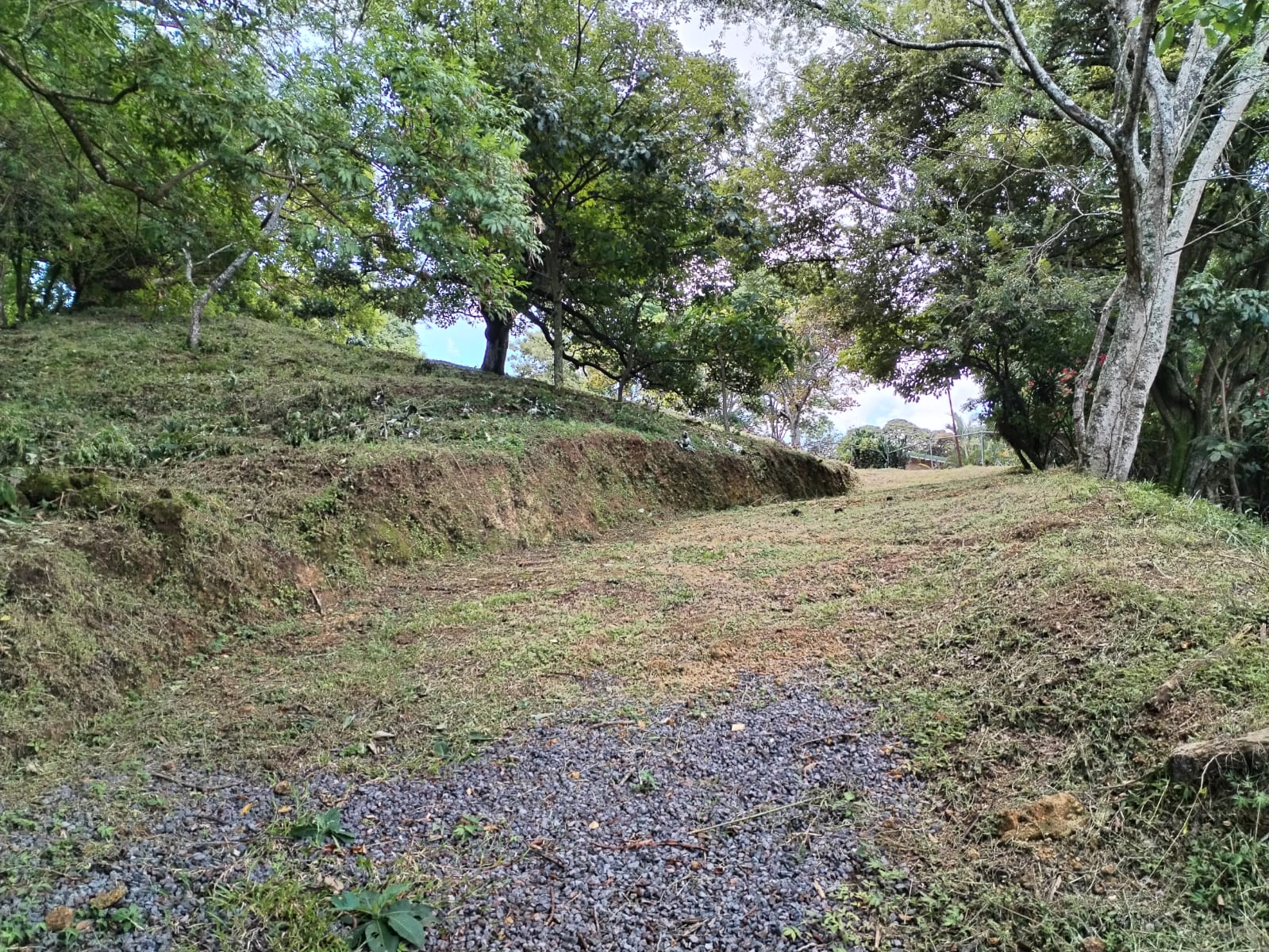 0 bed Land For Sale in Santa Ana, San Jose - thumb 8