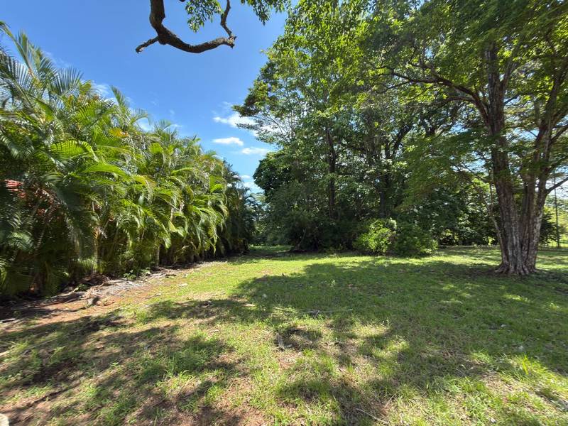 0 bed Land For Sale in Tambor, Puntarenas - 1