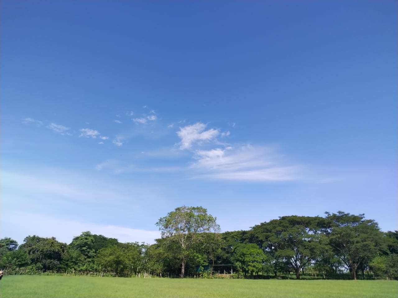 5 bed Single Family Homes For Sale in Orotina, Alajuela - thumb 27
