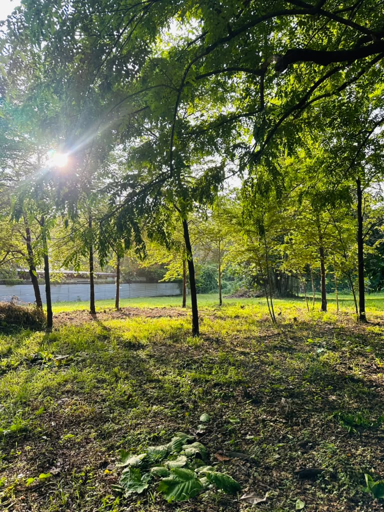 0 bed Land For Sale in Malpais, Puntarenas - thumb 2