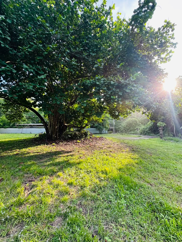 0 bed Land For Sale in Malpais, Puntarenas - thumb 3