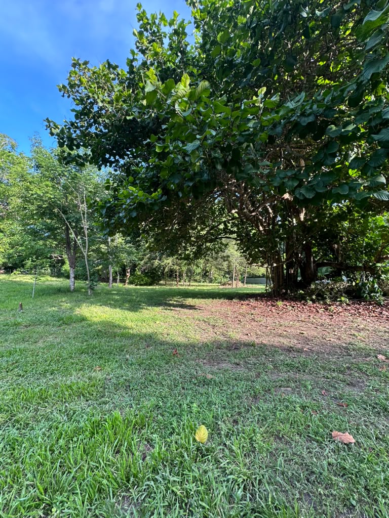 0 bed Land For Sale in Malpais, Puntarenas - thumb 1