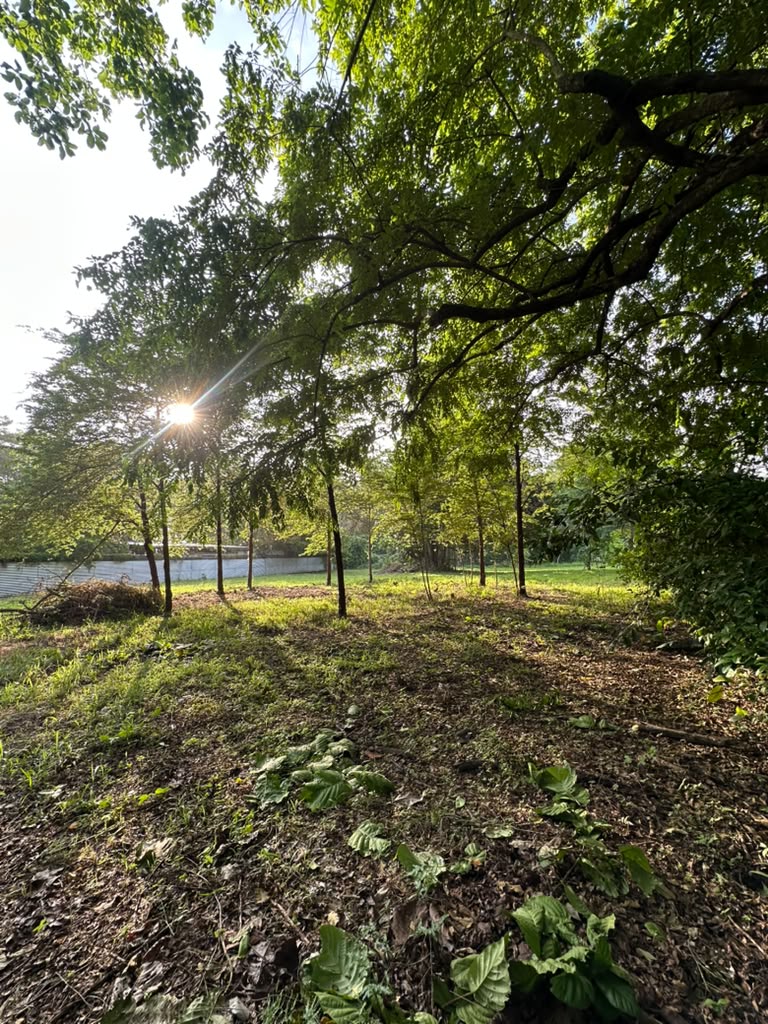 0 bed Land For Sale in Malpais, Puntarenas - thumb 4