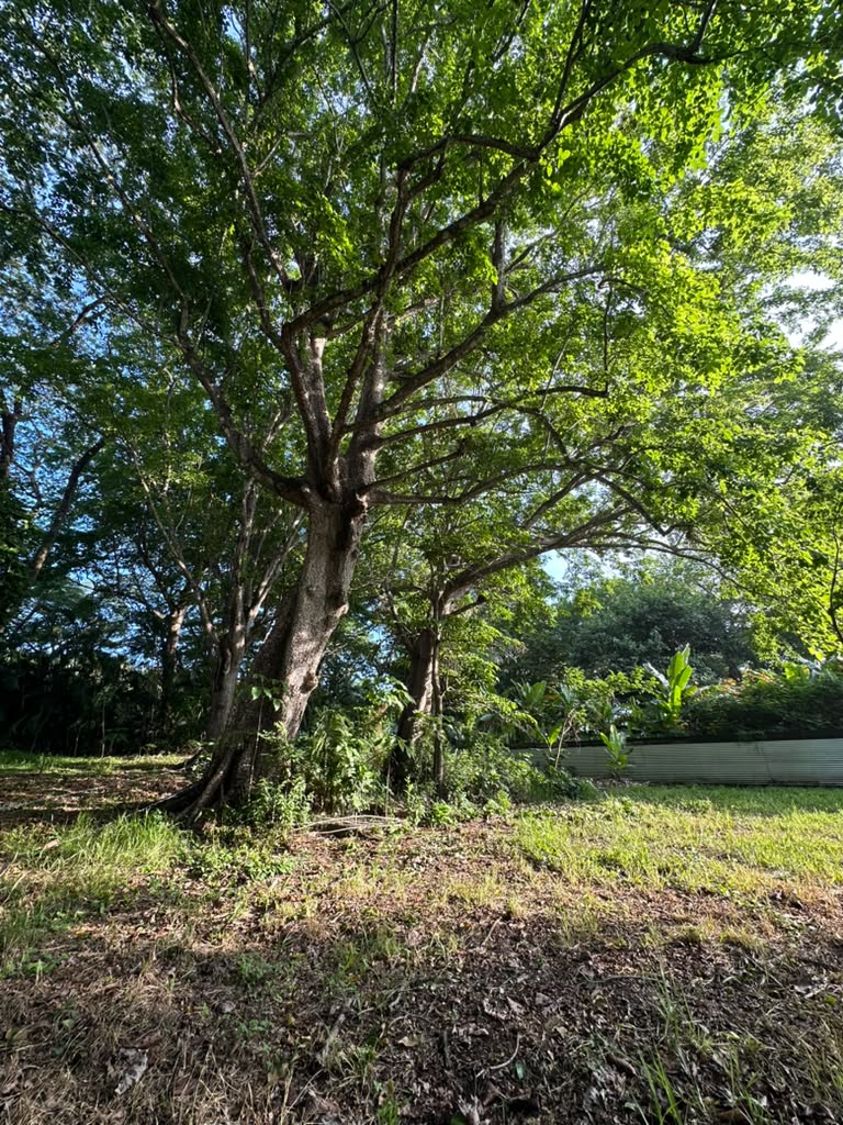 0 bed Land For Sale in Malpais, Puntarenas - thumb 5