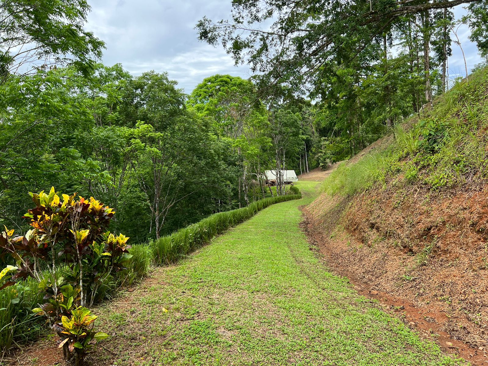 0 bed Land For Sale in Dominical, Puntarenas - thumb 4
