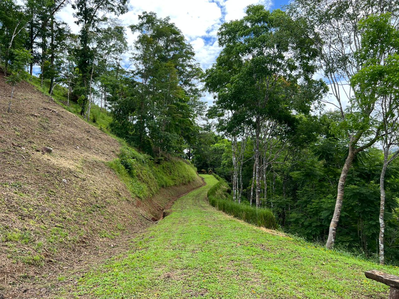 0 bed Land For Sale in Dominical, Puntarenas - thumb 1