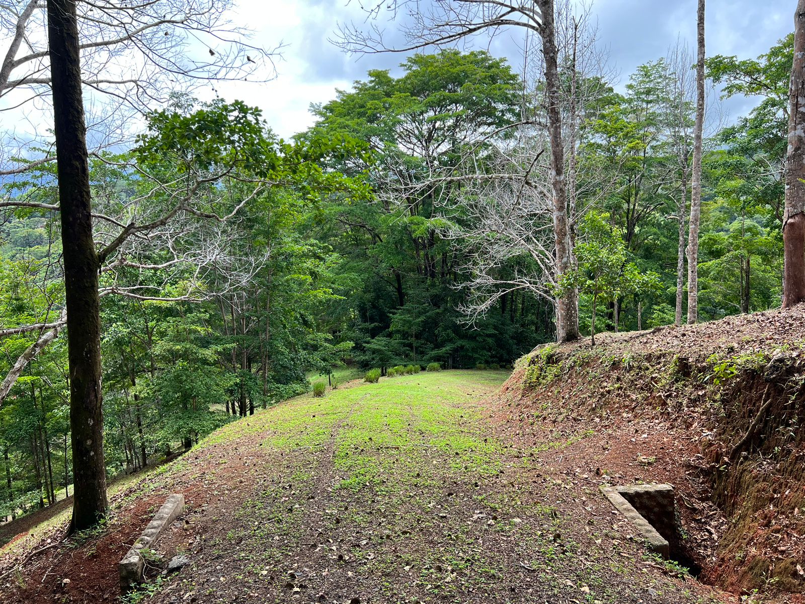 0 bed Land For Sale in Dominical, Puntarenas - thumb 5