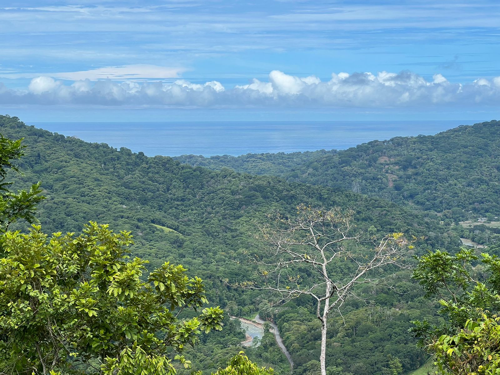 0 bed Land For Sale in Dominical, Puntarenas - thumb 8