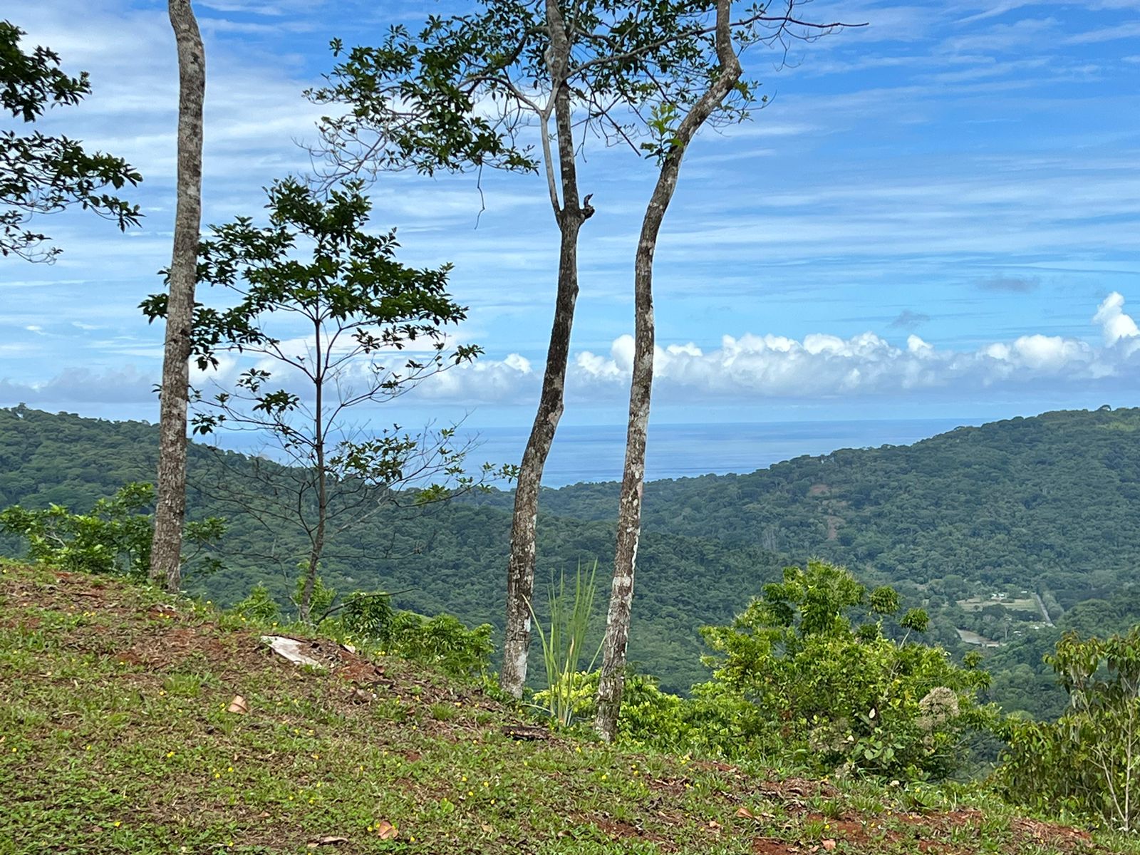 0 bed Land For Sale in Dominical, Puntarenas - thumb 9