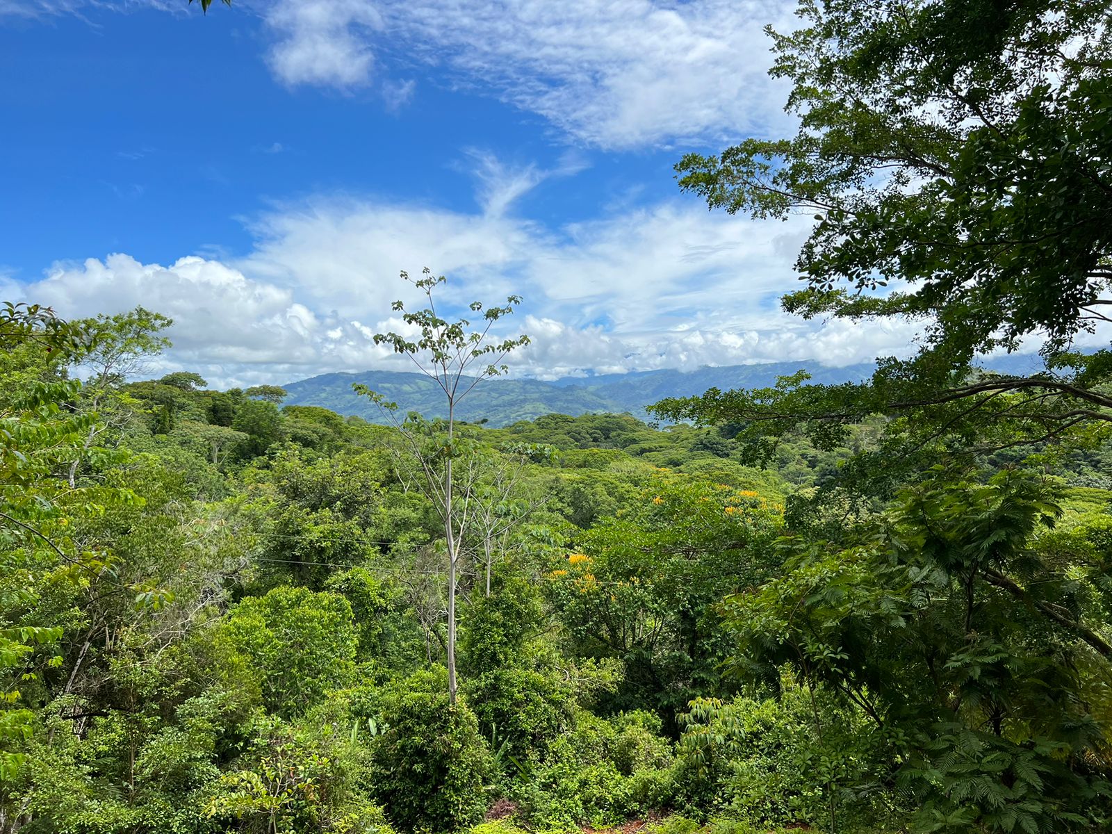 0 bed Land For Sale in Dominical, Puntarenas - thumb 11