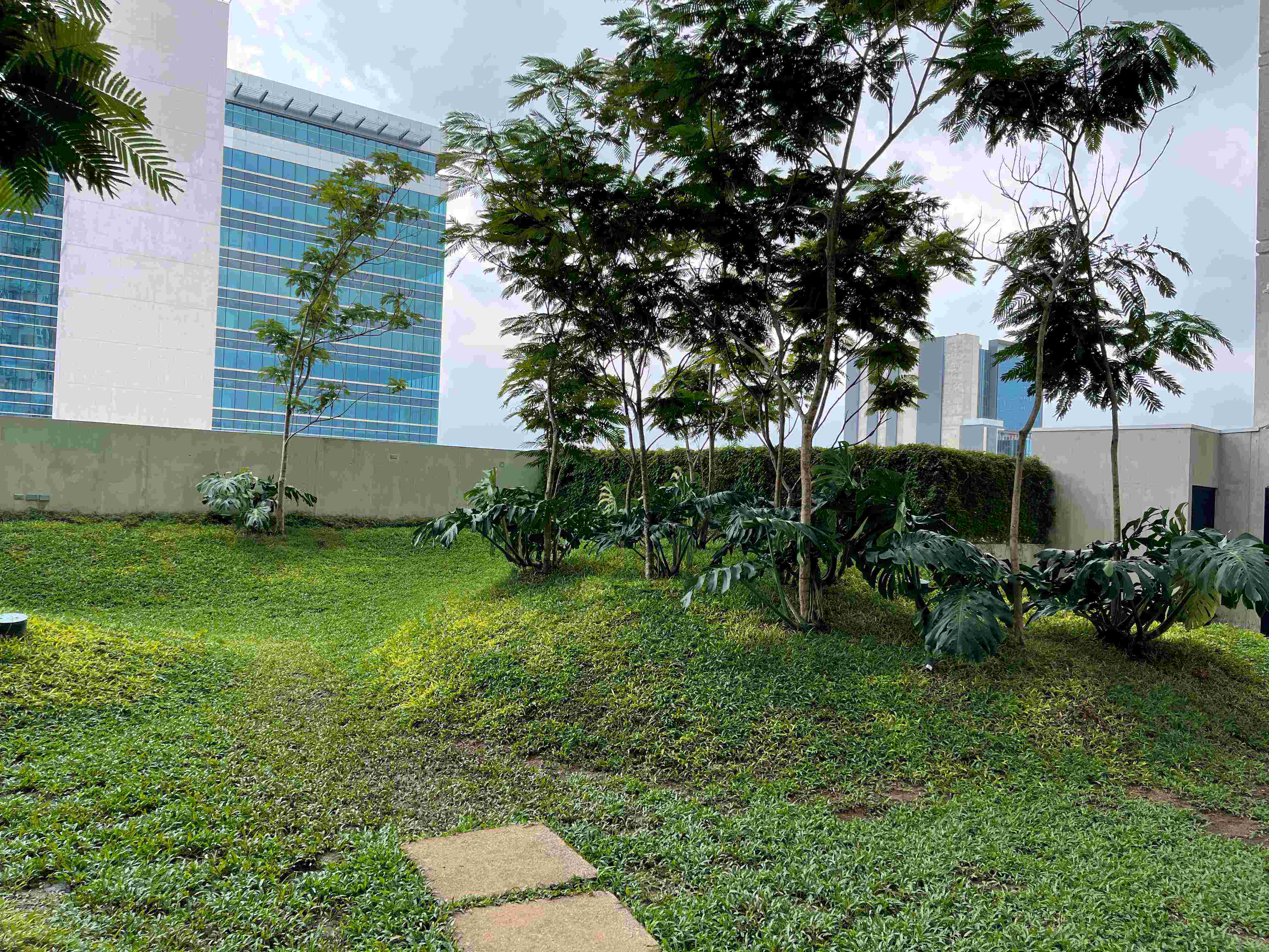 1 bed Condo For Rent in La Sabana, San Jose - thumb 17