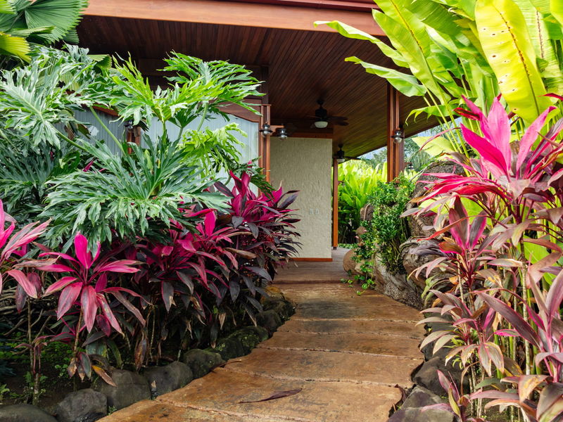 3 bed Single Family Homes For Sale in La Fortuna, Alajuela - photo 11