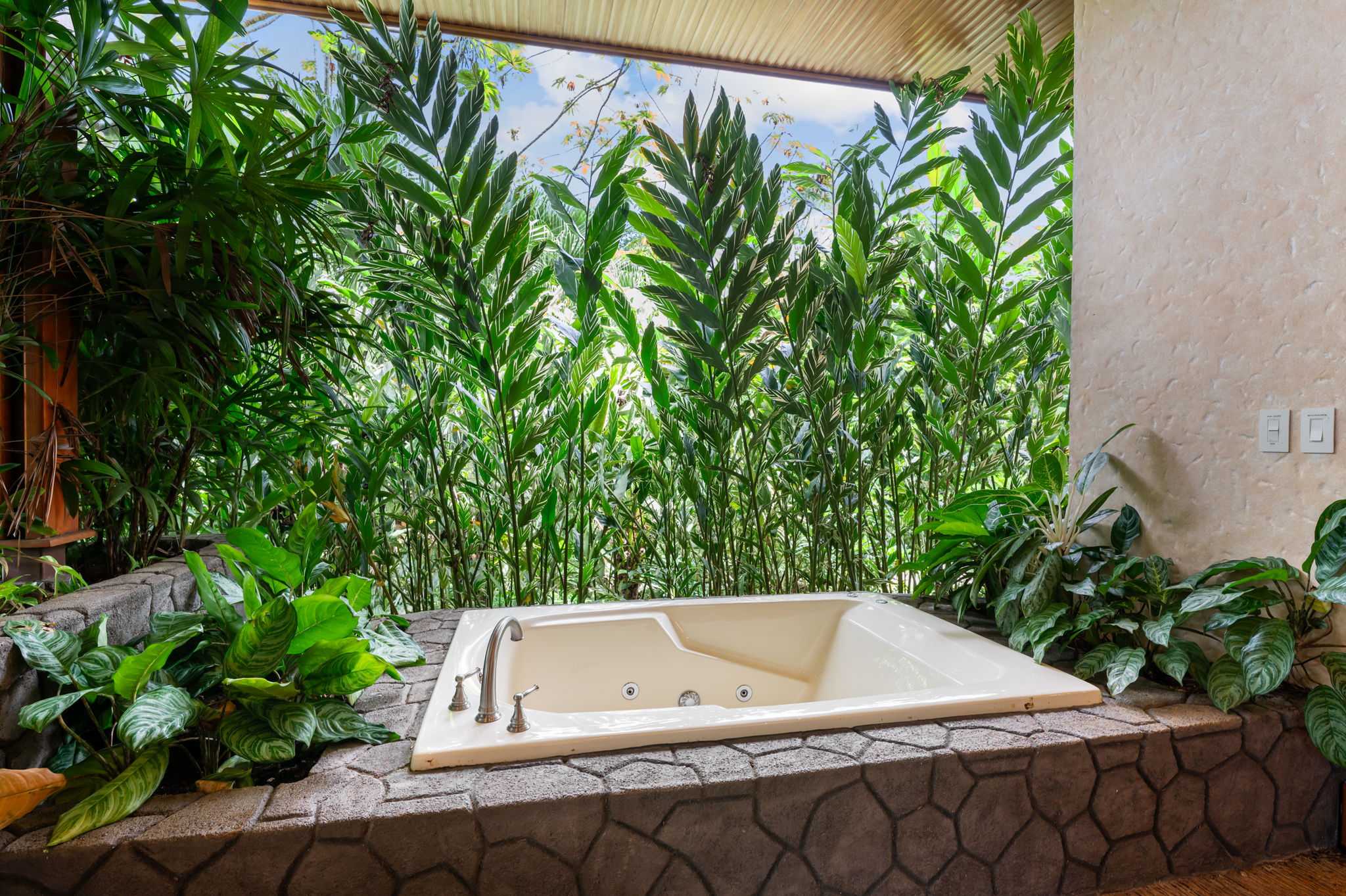 3 bed Single Family Homes For Sale in La Fortuna, Alajuela - thumb 6