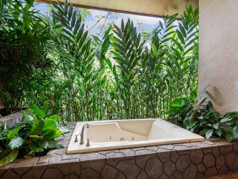 3 bed Single Family Homes For Sale in La Fortuna, Alajuela - photo 6