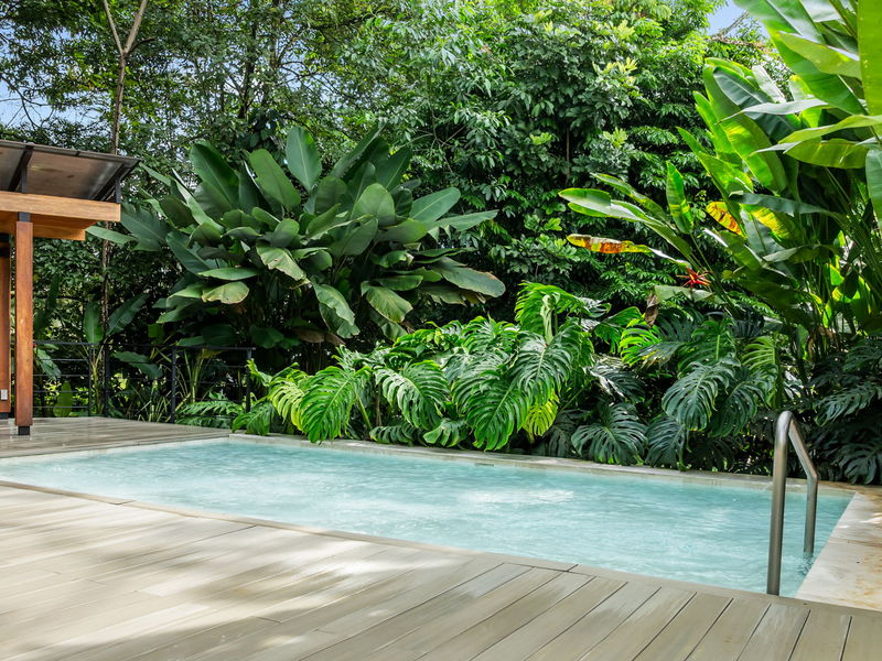3 bed Single Family Homes For Sale in La Fortuna, Alajuela - photo 28