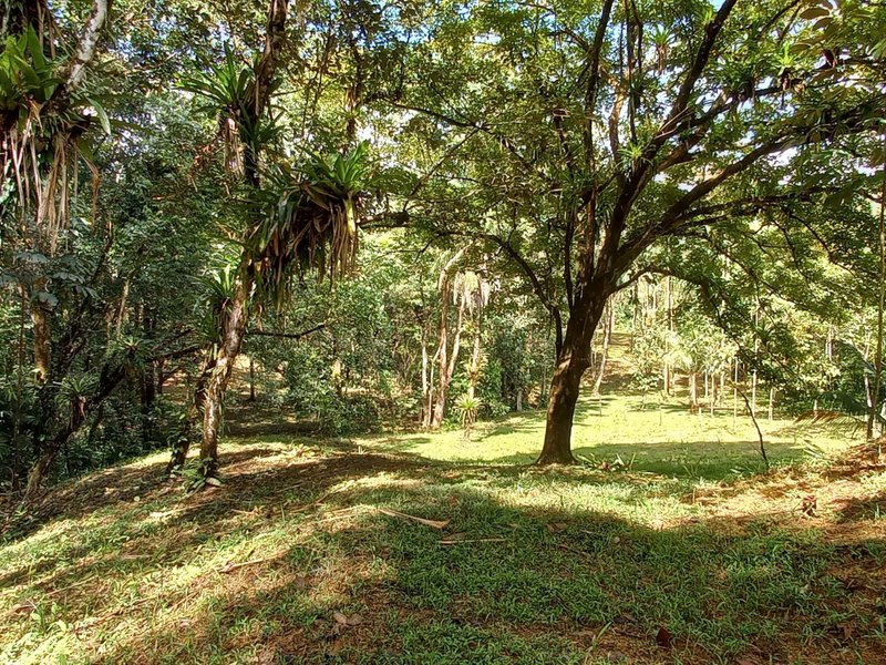 5 bed Single Family Homes For Sale in Ojochal, Puntarenas - photo 27