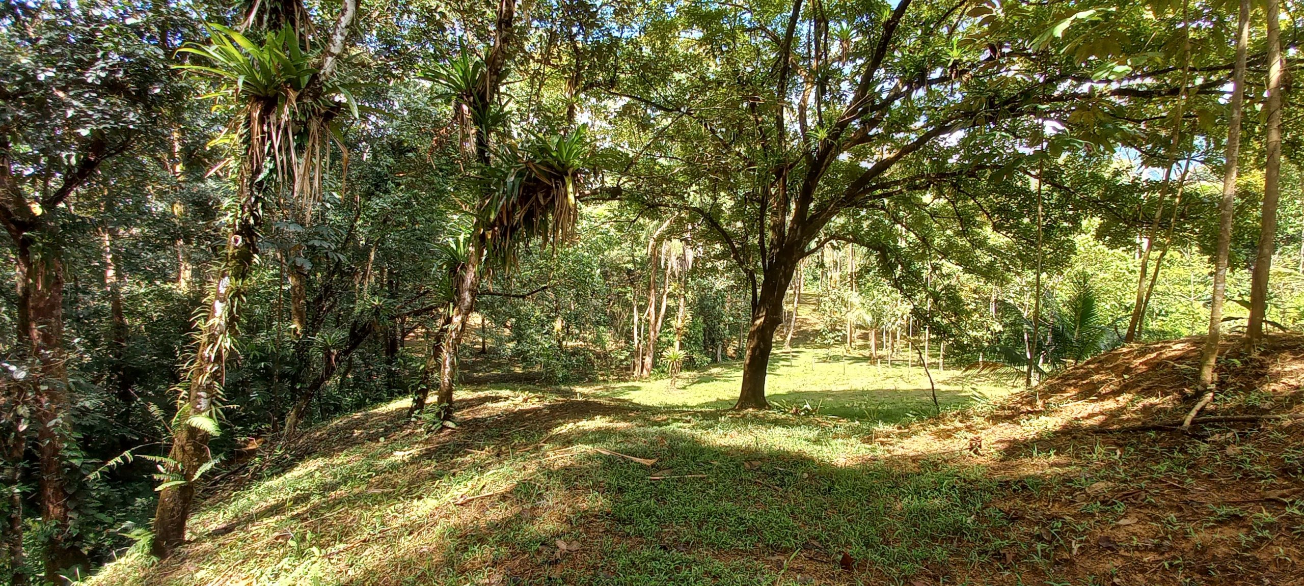 5 bed Single Family Homes For Sale in Ojochal, Puntarenas - thumb 27