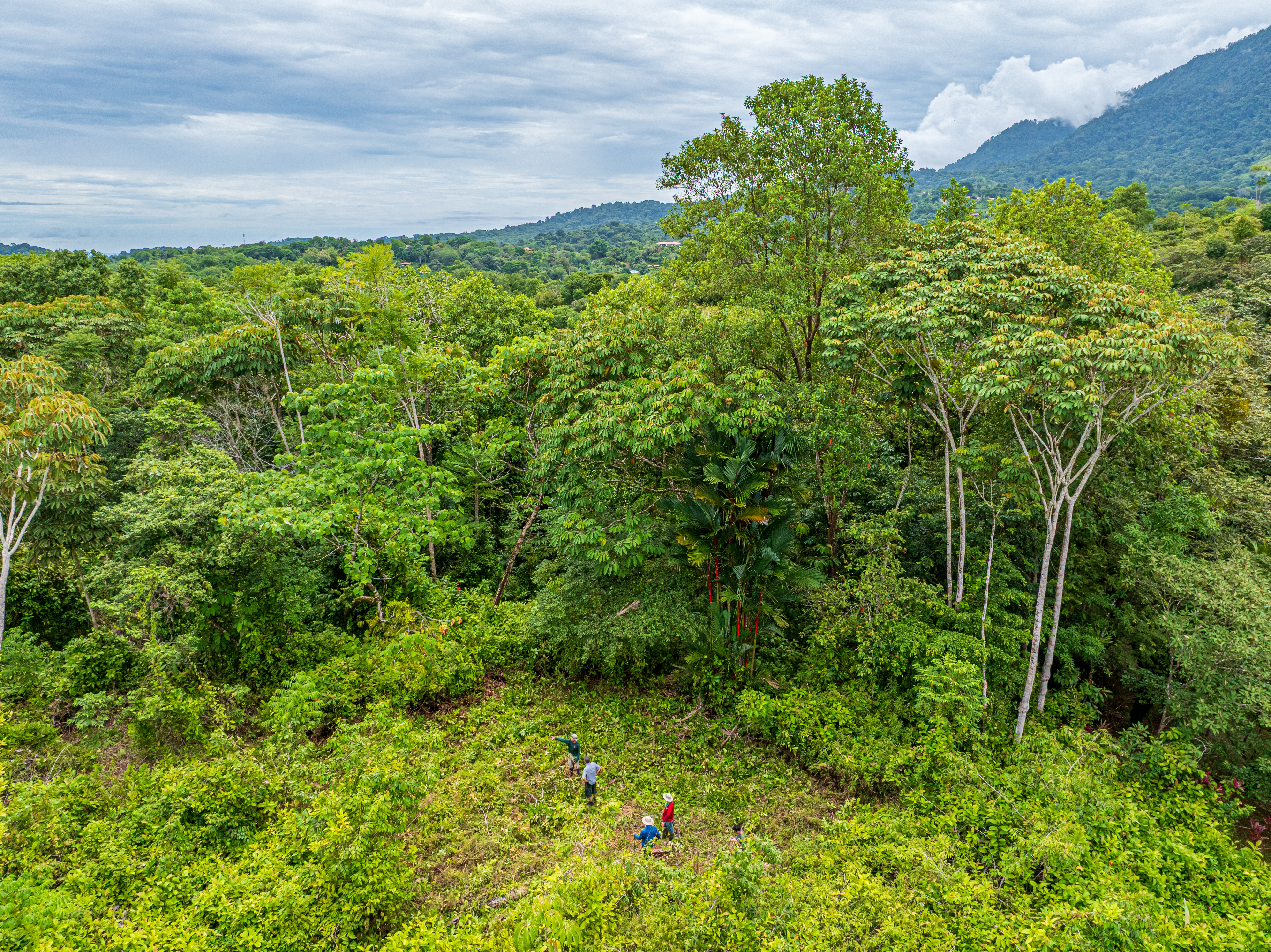 5 bed Single Family Homes For Sale in Ojochal, Puntarenas - thumb 17