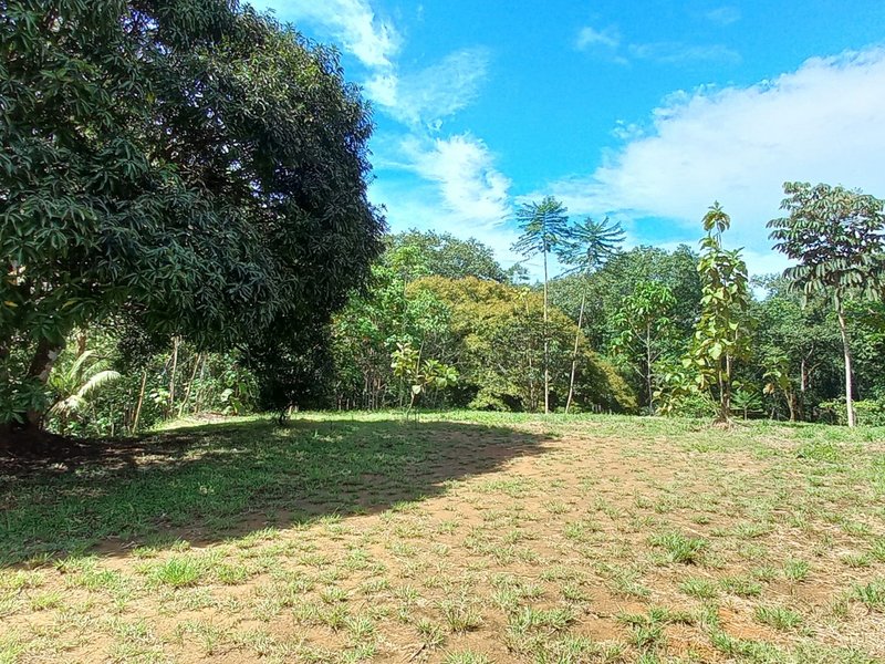 5 bed Single Family Homes For Sale in Ojochal, Puntarenas - photo 25
