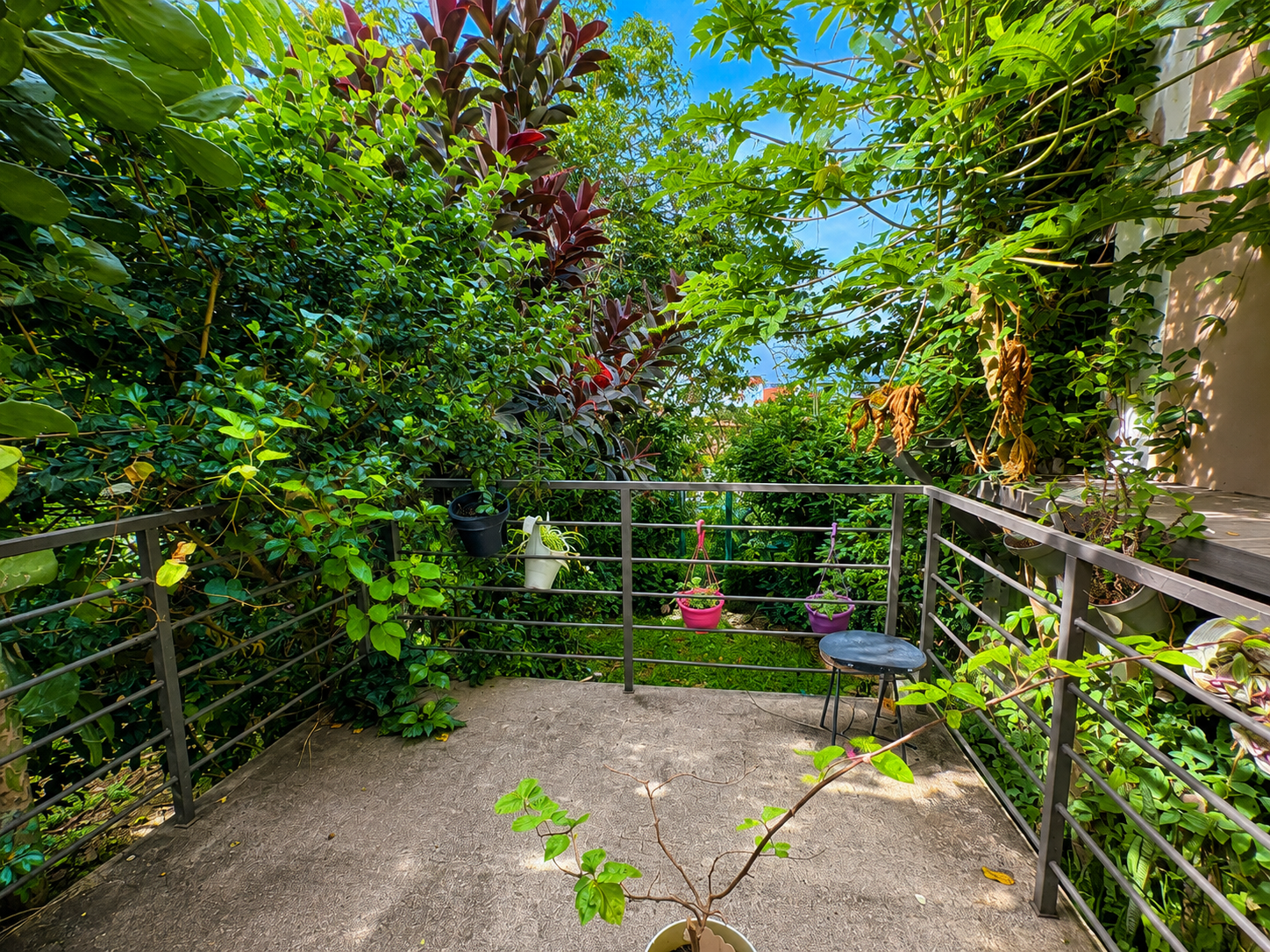 1 bed Condo For Sale in Pozos, San Jose - thumb 13