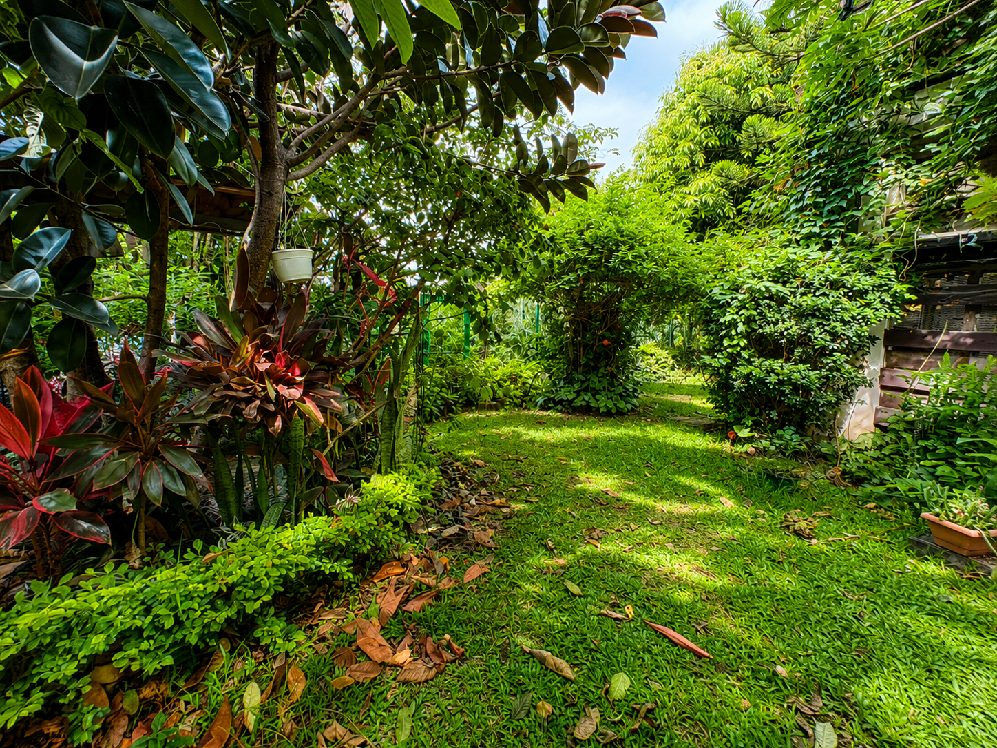 1 bed Condo For Sale in Pozos, San Jose - thumb 12