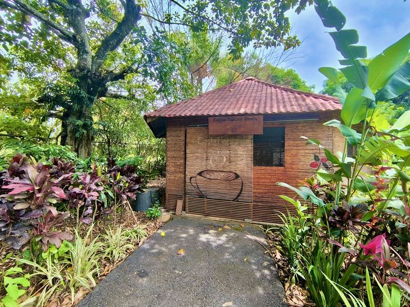 7 bed Single Family Homes For Sale in Atenas, Alajuela - photo 28
