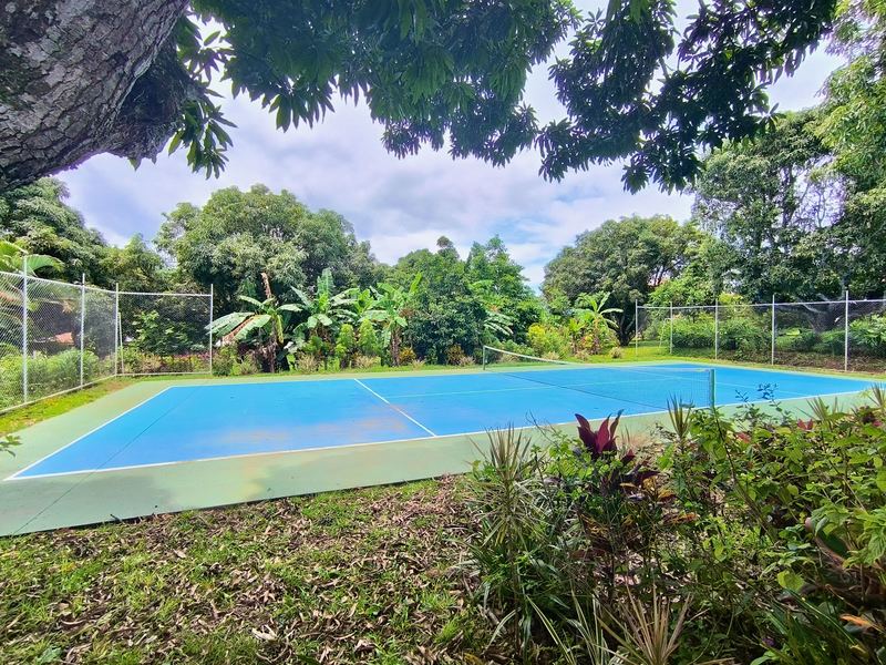 7 bed Single Family Homes For Sale in Atenas, Alajuela - photo 27