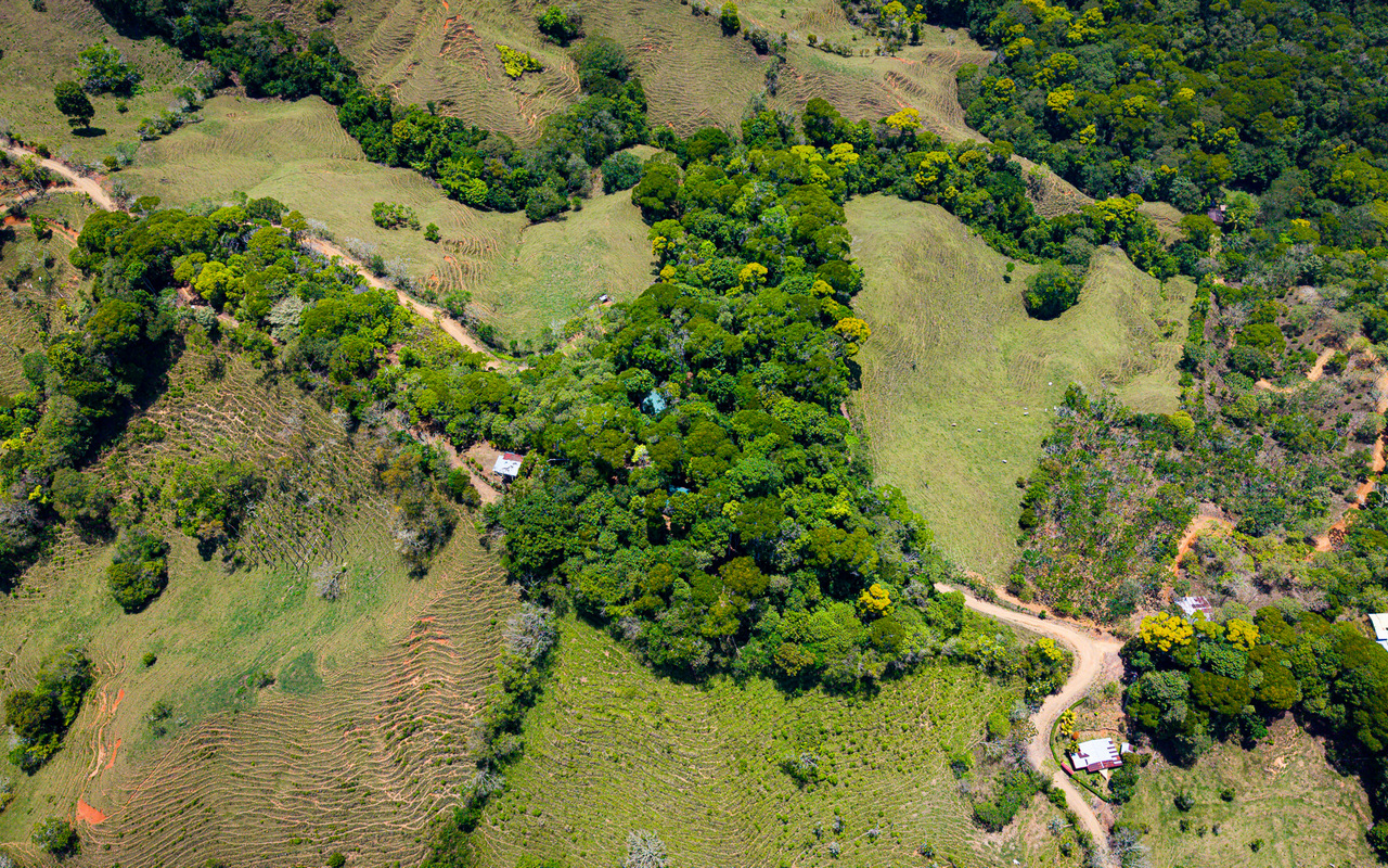 2 bed Single Family Homes For Sale in Perez Zeledon, San Jose - thumb 7