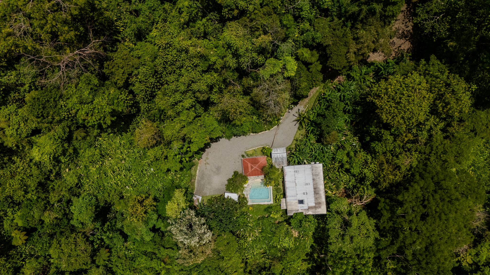 3 bed Single Family Homes For Sale in Uvita, Puntarenas - thumb 6
