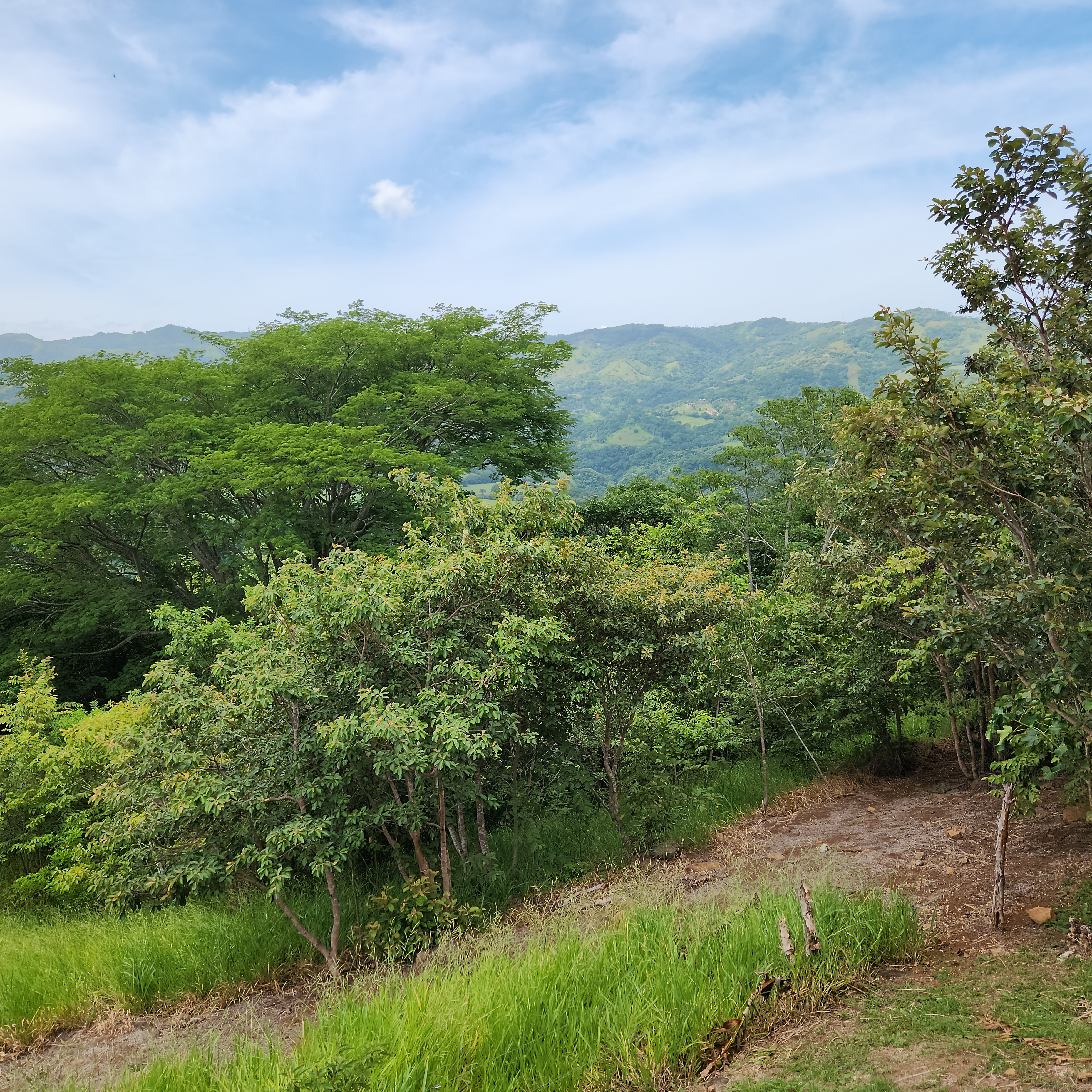 1 bed Apartment For Rent in Atenas, Alajuela - thumb 15