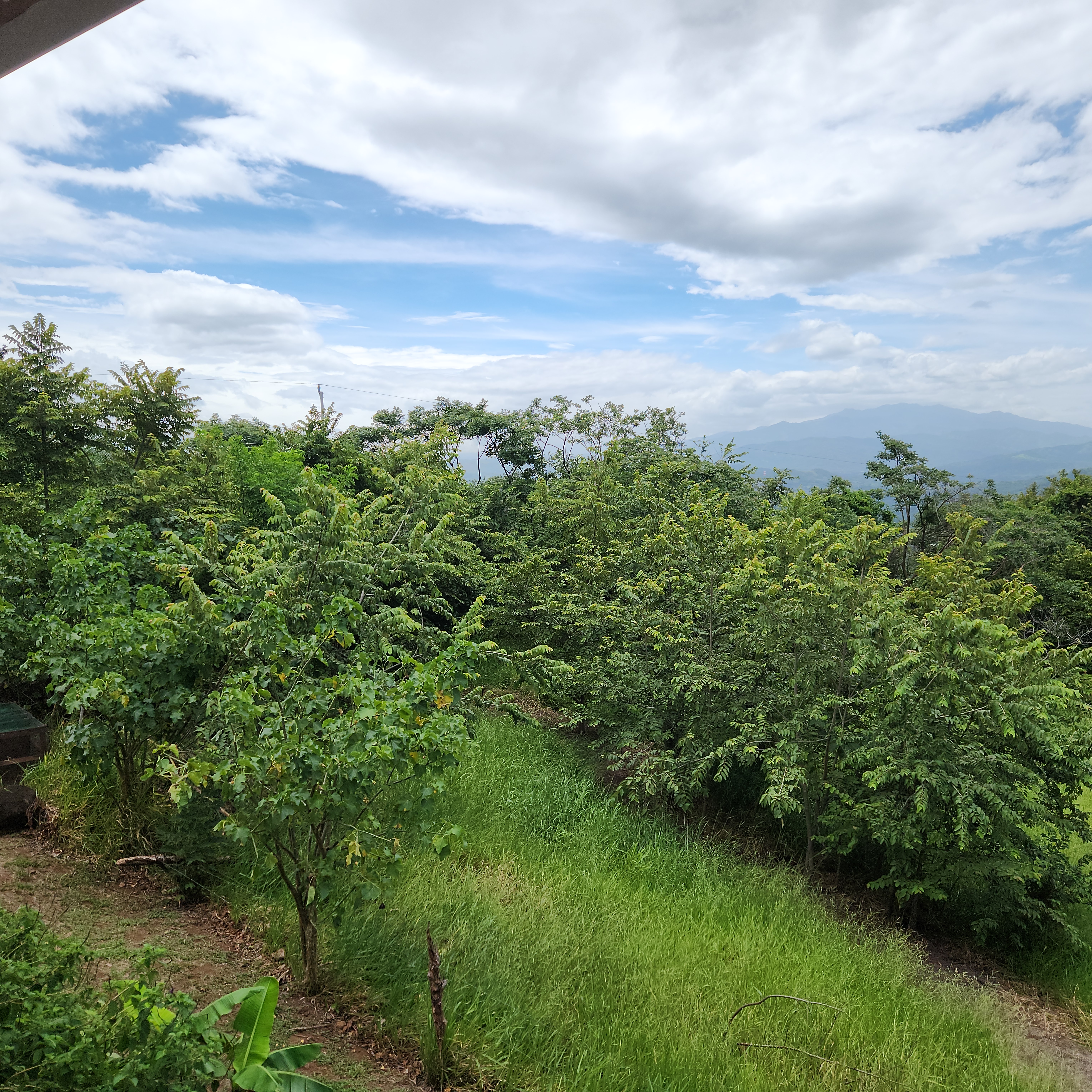 1 bed Apartment For Rent in Atenas, Alajuela - thumb 16