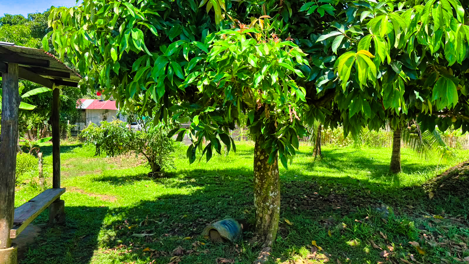 2 bed Single Family Homes For Sale in Puerto Viejo, Limón - thumb 3