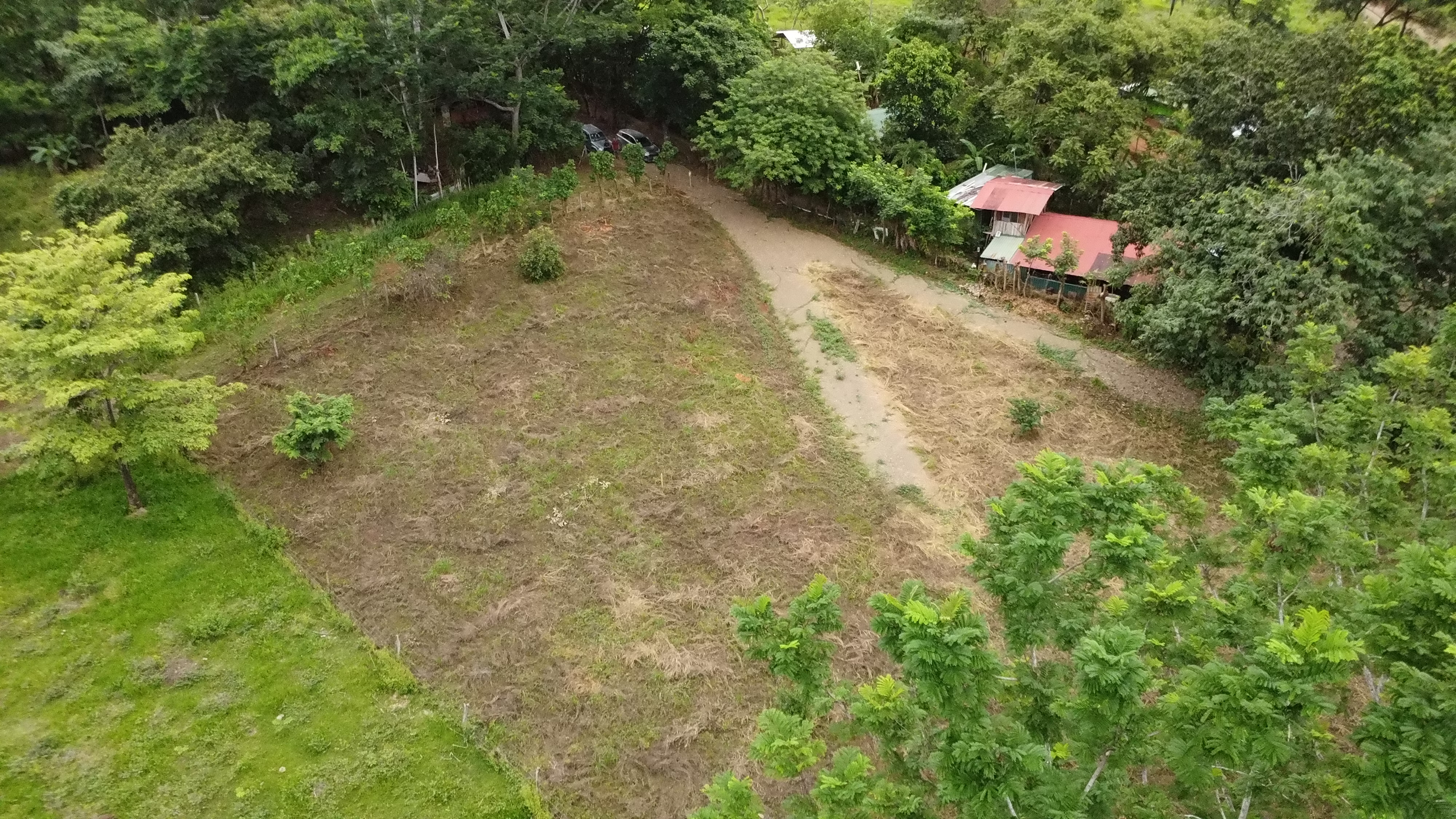 0 bed Land For Sale in Hojancha, Guanacaste - thumb 1