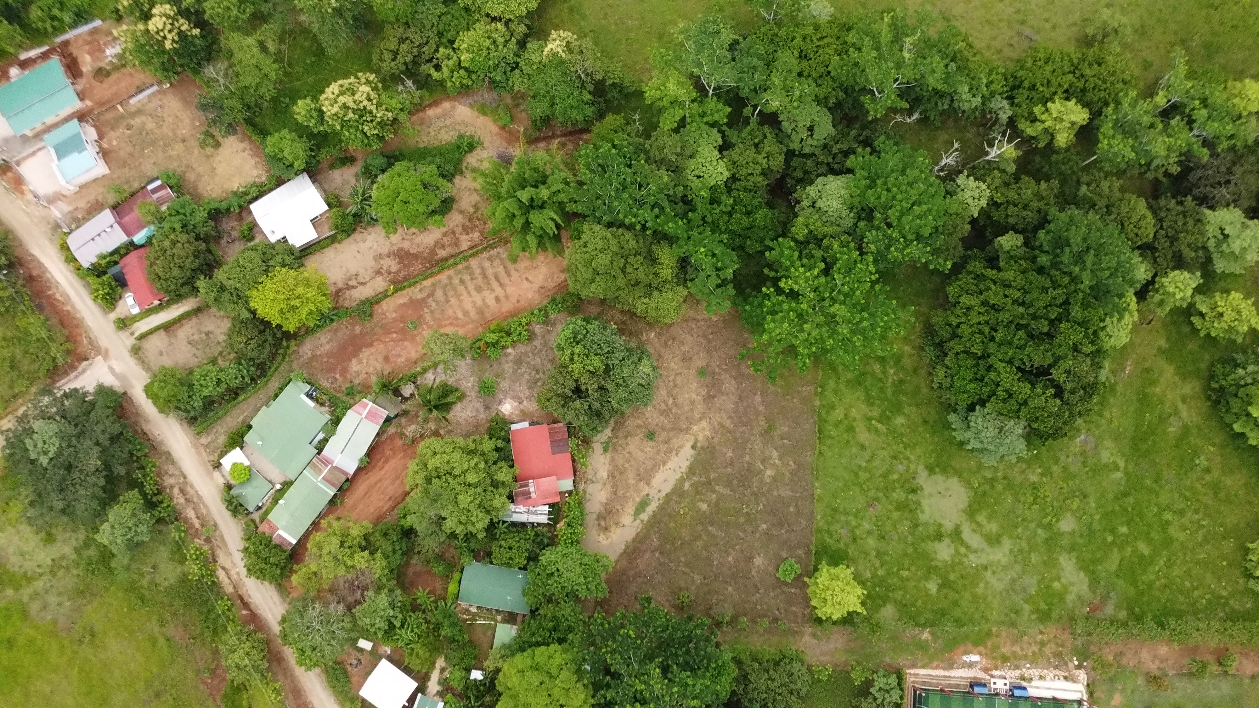 0 bed Land For Sale in Hojancha, Guanacaste - thumb 6