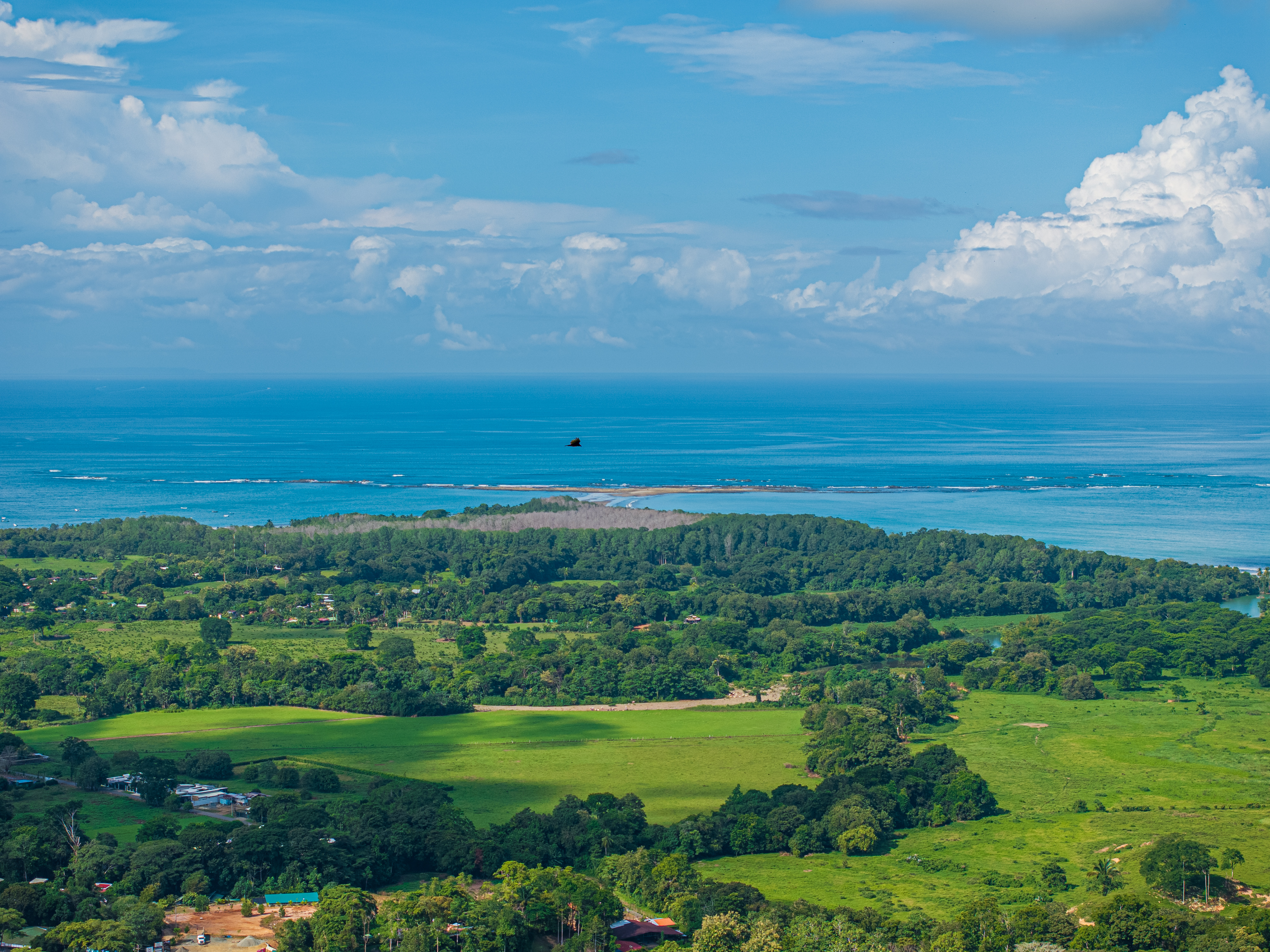 4 bed Single Family Homes For Sale in Uvita, Puntarenas - thumb 4