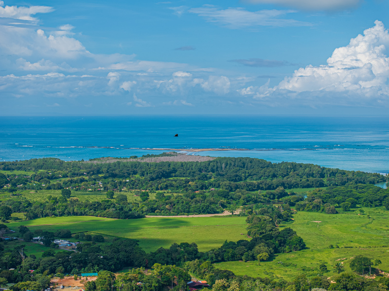 4 bed Single Family Homes For Sale in Uvita, Puntarenas - photo 4