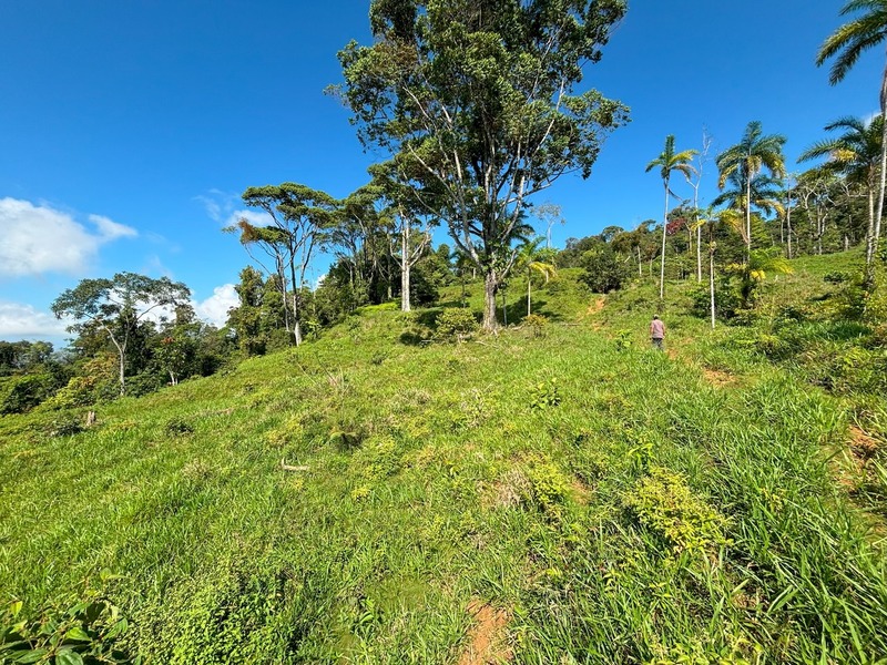 0 bed Land For Sale in Dominical, Puntarenas - 1