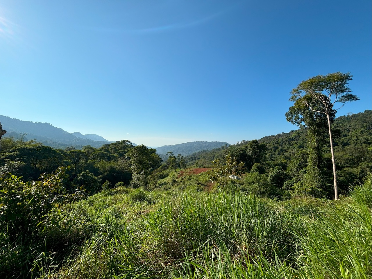0 bed Land For Sale in Dominical, Puntarenas - thumb 7
