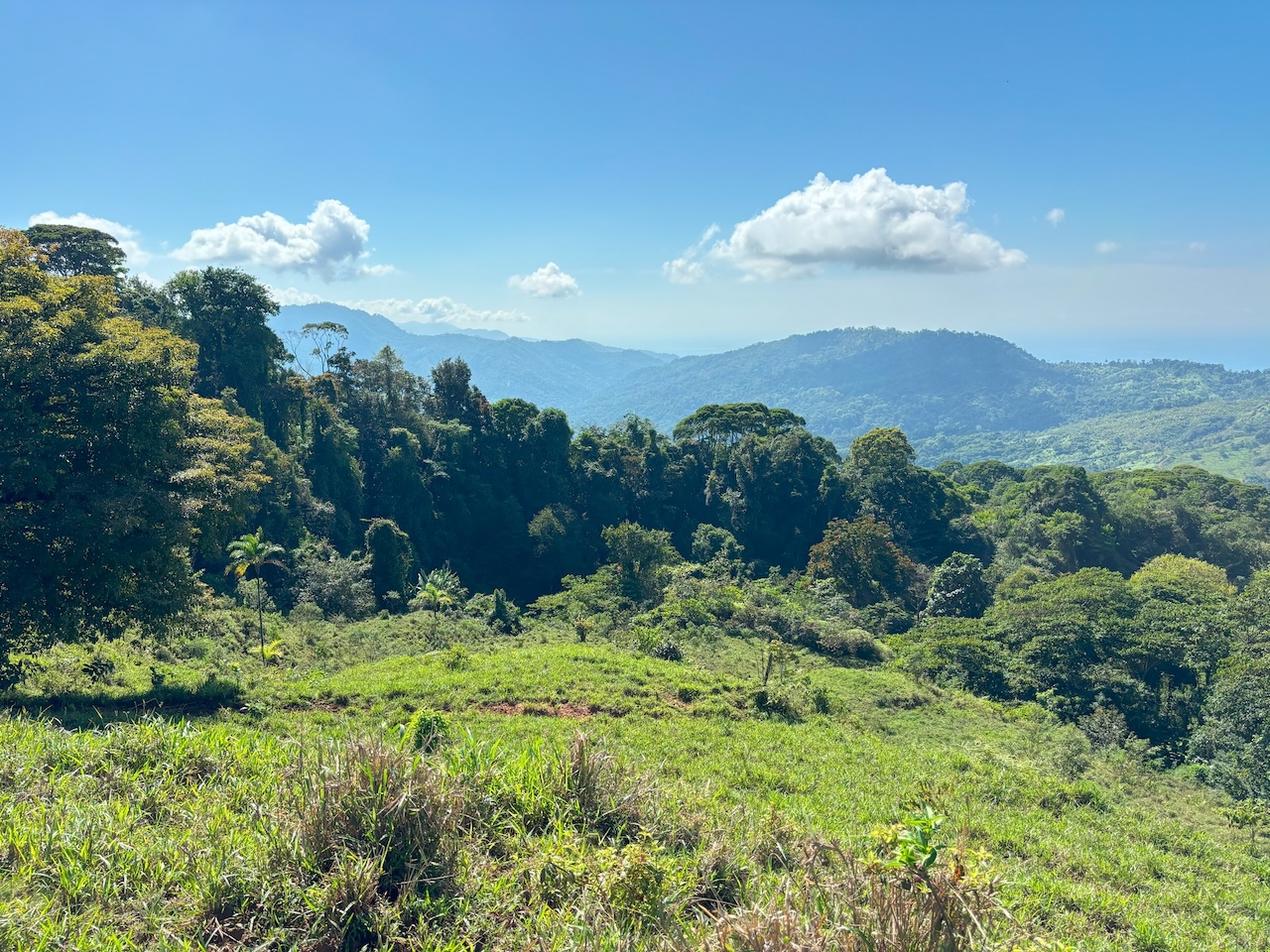 0 bed Land For Sale in Dominical, Puntarenas - thumb 12