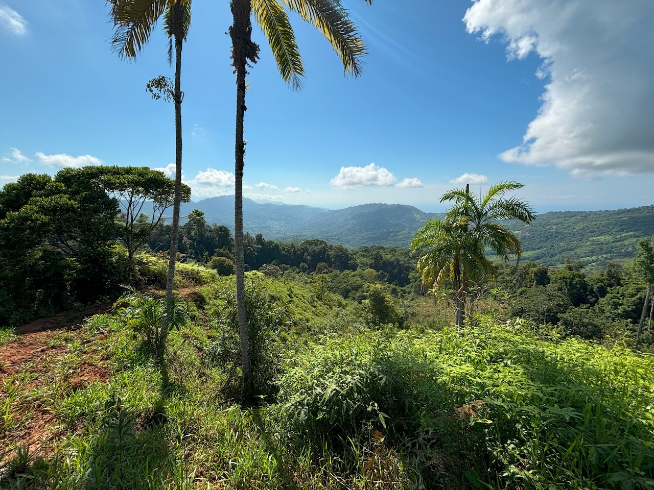 0 bed Land For Sale in Dominical, Puntarenas - thumb 25