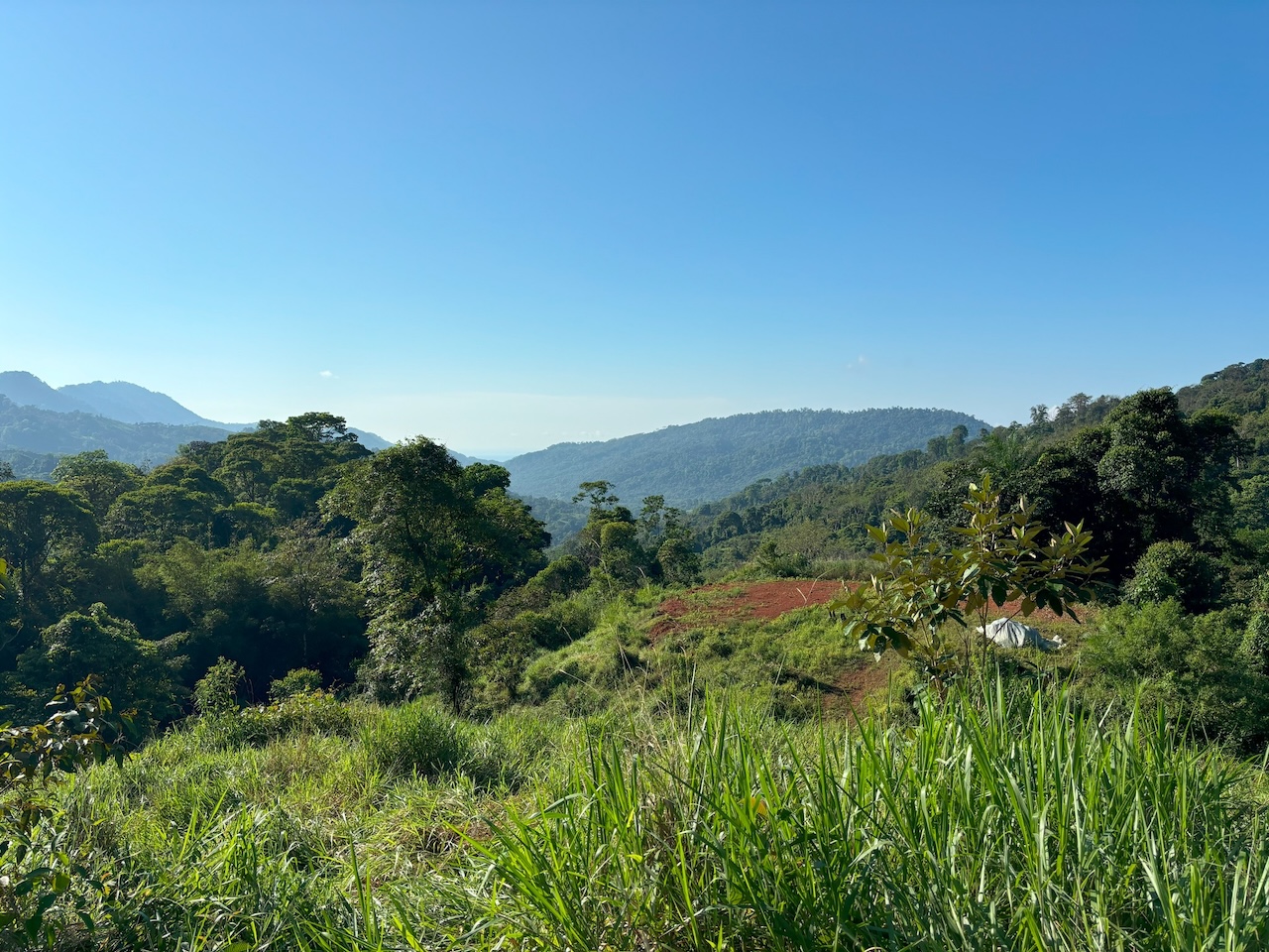 0 bed Land For Sale in Dominical, Puntarenas - thumb 6