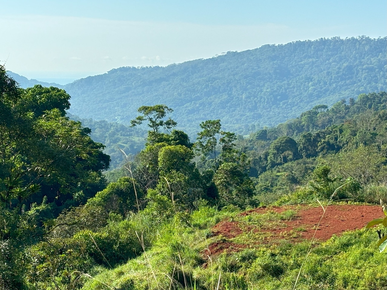 0 bed Land For Sale in Dominical, Puntarenas - thumb 28